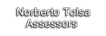 Norberto Tolsa Assessors logo